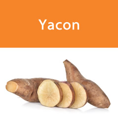 yacon